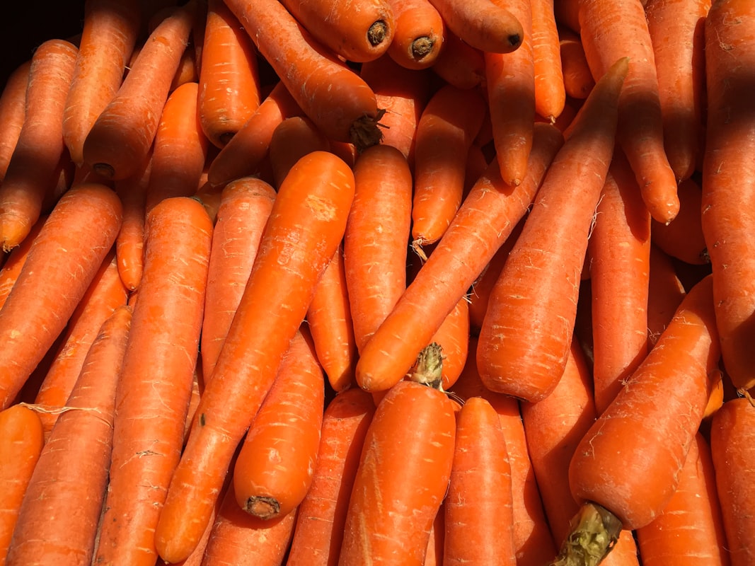 Vitamina A e Carotenoidi